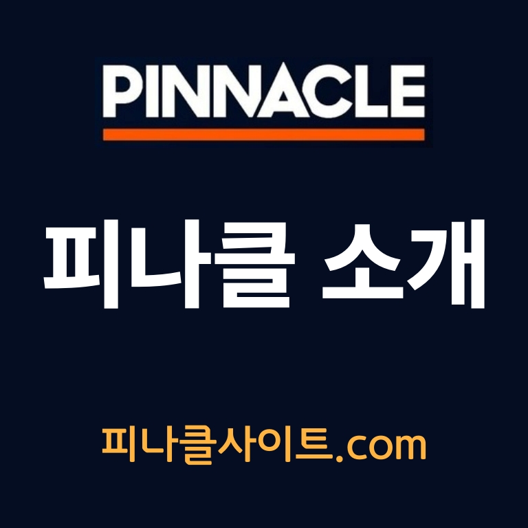 피나클사이트 소개